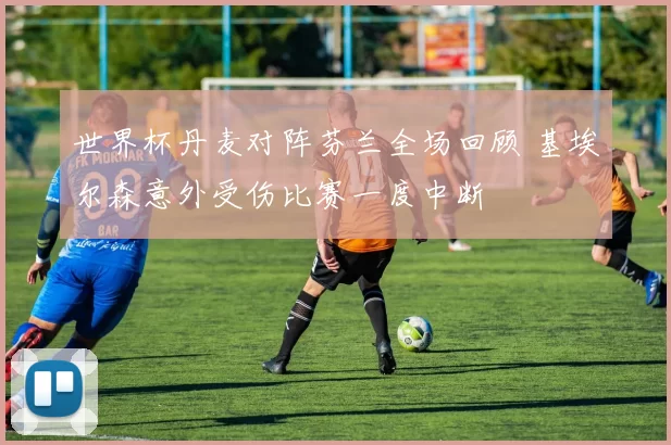 世界杯丹麦对阵芬兰全场回顾 基埃尔森意外受伤比赛一度中断