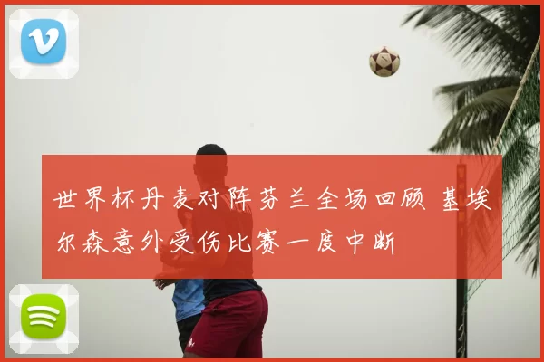 世界杯丹麦对阵芬兰全场回顾 基埃尔森意外受伤比赛一度中断